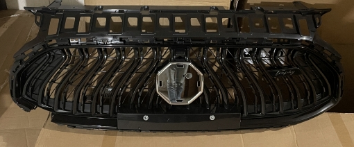 Picture of MG HS PHEV Trophy 2025-2026 Front Show Grill (Facelift) OEM
