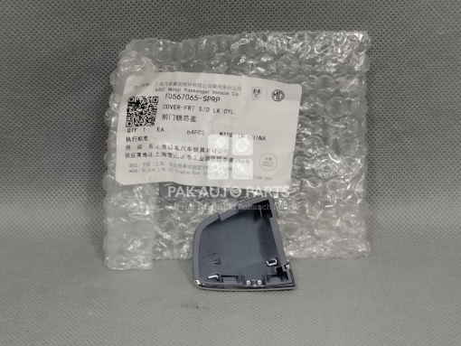 Picture of MG HS 2019-2024 Door Handle Tiki Only