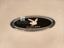 Picture of Car Play Boy Badge Chrom +  Epoxy