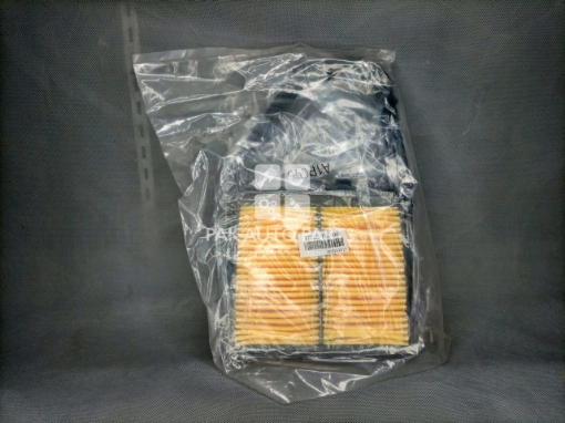 Picture of Honda Civic 2002-06 Air Filter