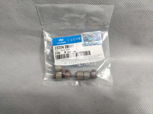 Picture of Hyundai Santro Wall Seel Set