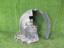 Picture of Nissan Note 2016 Fender Shield
