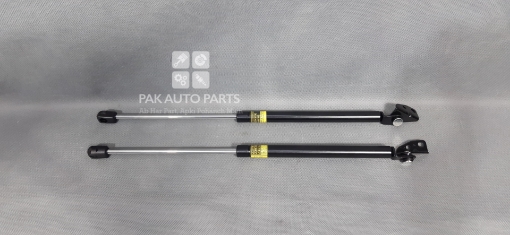 Picture of Hyundai Santro Club Trunk (Diggi) Shocks