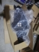 Picture of Prince Pearl Headlight