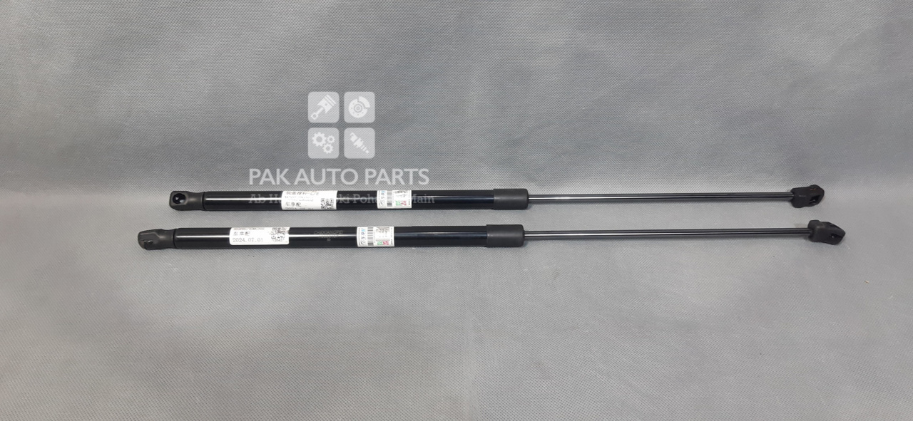 Picture of MG HS 2021-22 Bonnet Shocks