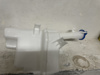 Picture of Hyundai Elantra 2021-24 Wiper Bottle