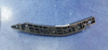 Picture of Changan Oshan X7 2023-2024 Front Front Bumper Spacer