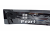 Picture of Prince Pearl 2019-2024 Window Visors Set Air press With Logo