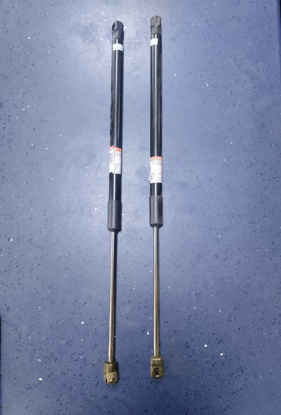 Picture of Prince DFSK Glory 580 Pro Bonnet Shock Set