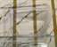Picture of Changan Oshan X7 2022-25 Headlight Glass